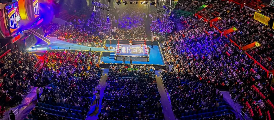 Ring-Side Barrier
