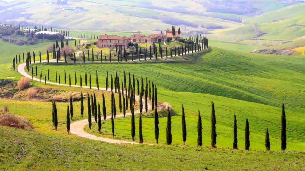 Val D'orcia Wine Tour