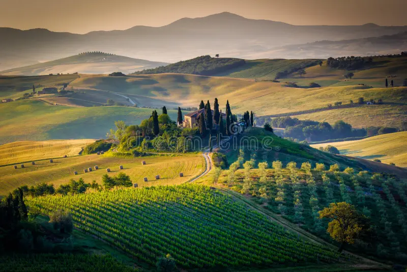 Val d'Orcia Wine Tour: Vineyards and Cellars