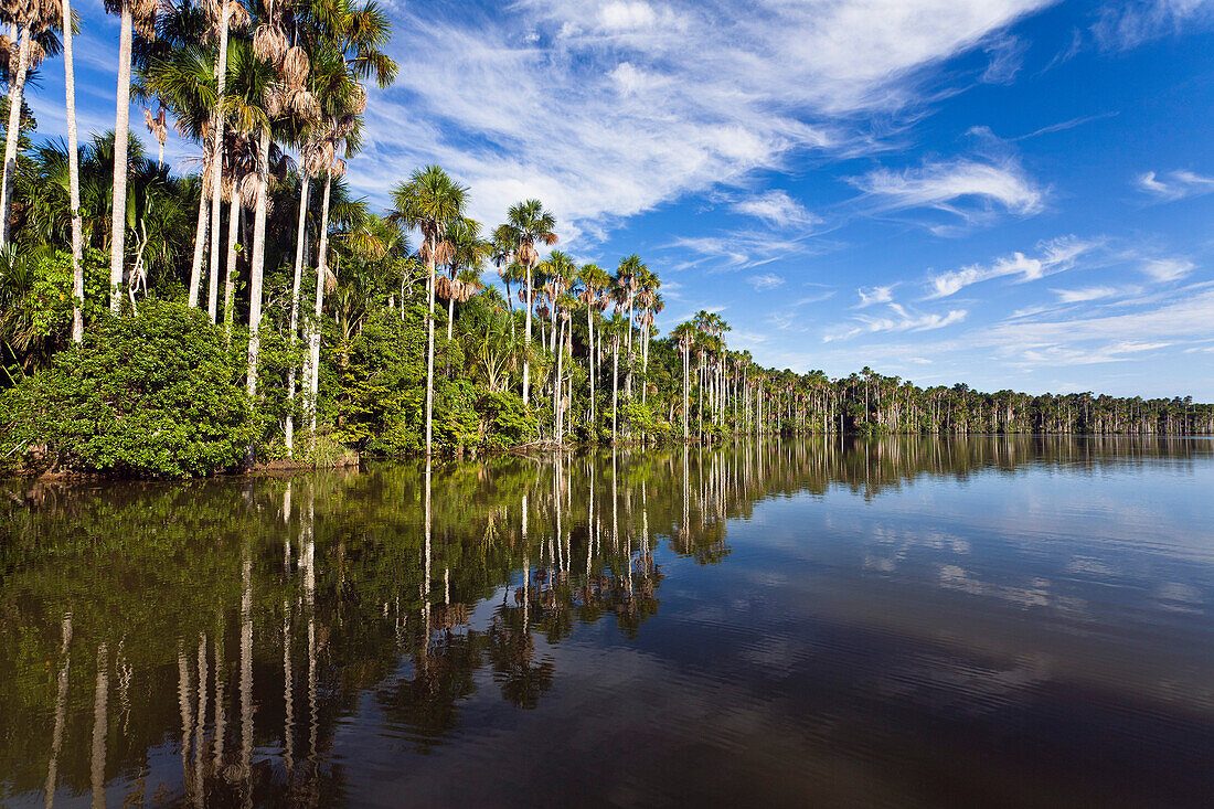 Sandoval Lake Tour in Tambopata Reserve