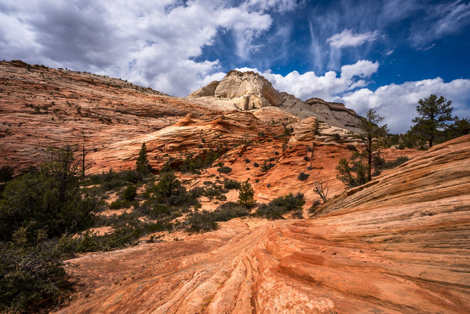 Zion UTV Tours on Slickrock and Sand