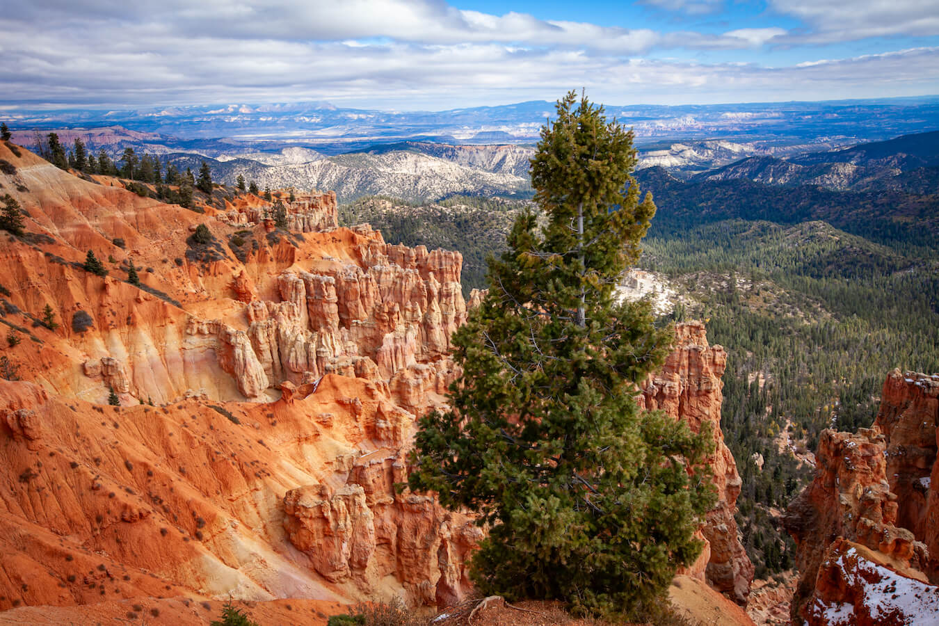 Ponderosa Overlook