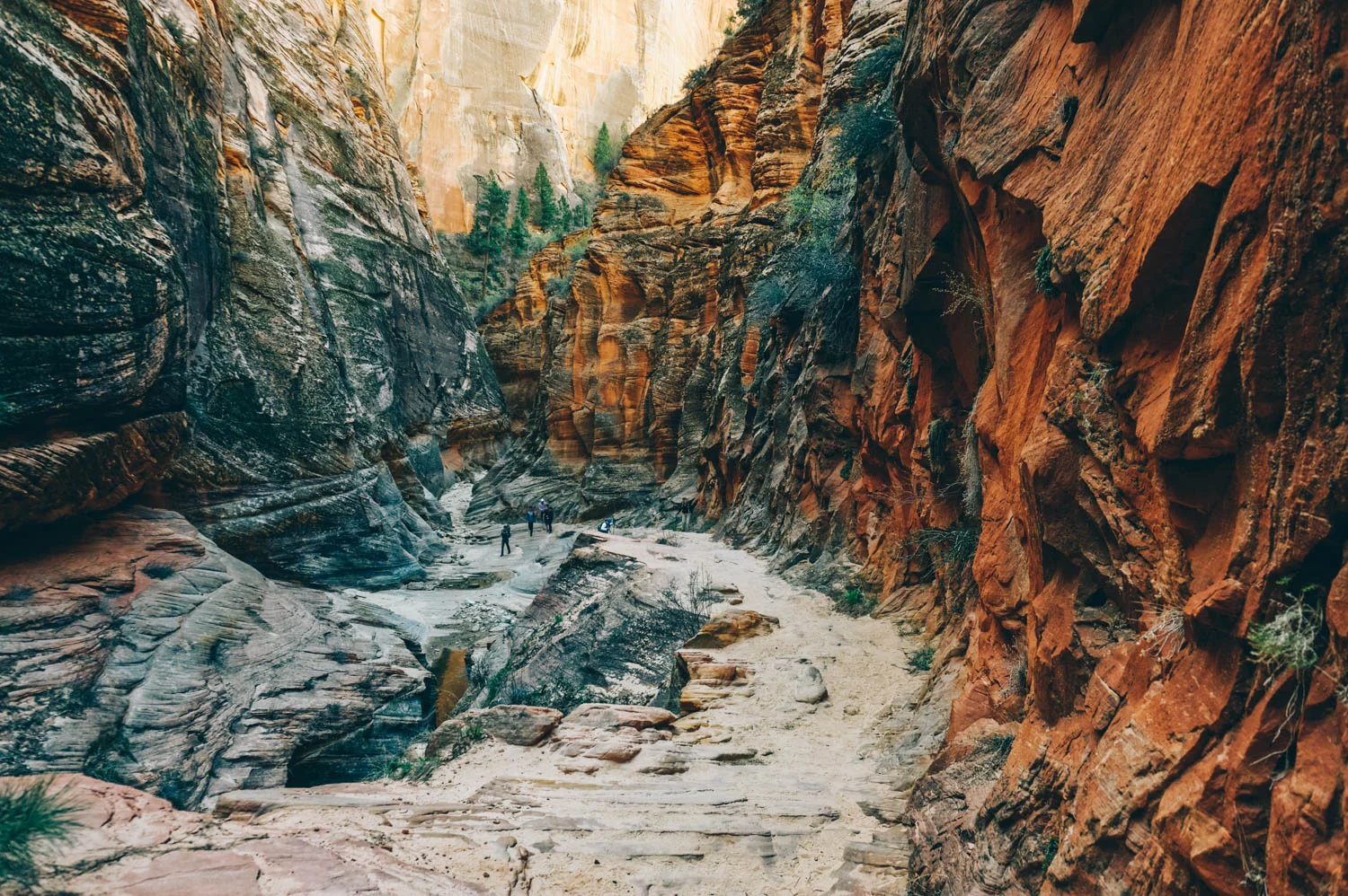 Hidden Canyon Path