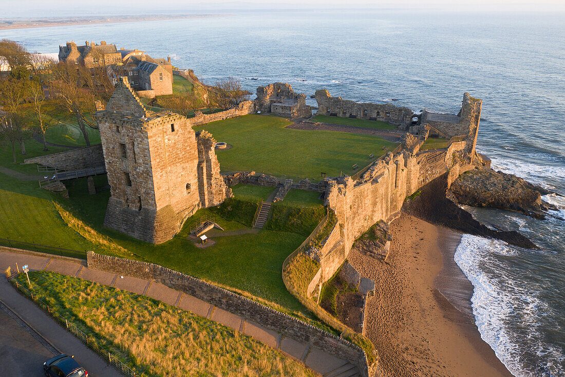 Castle Grounds