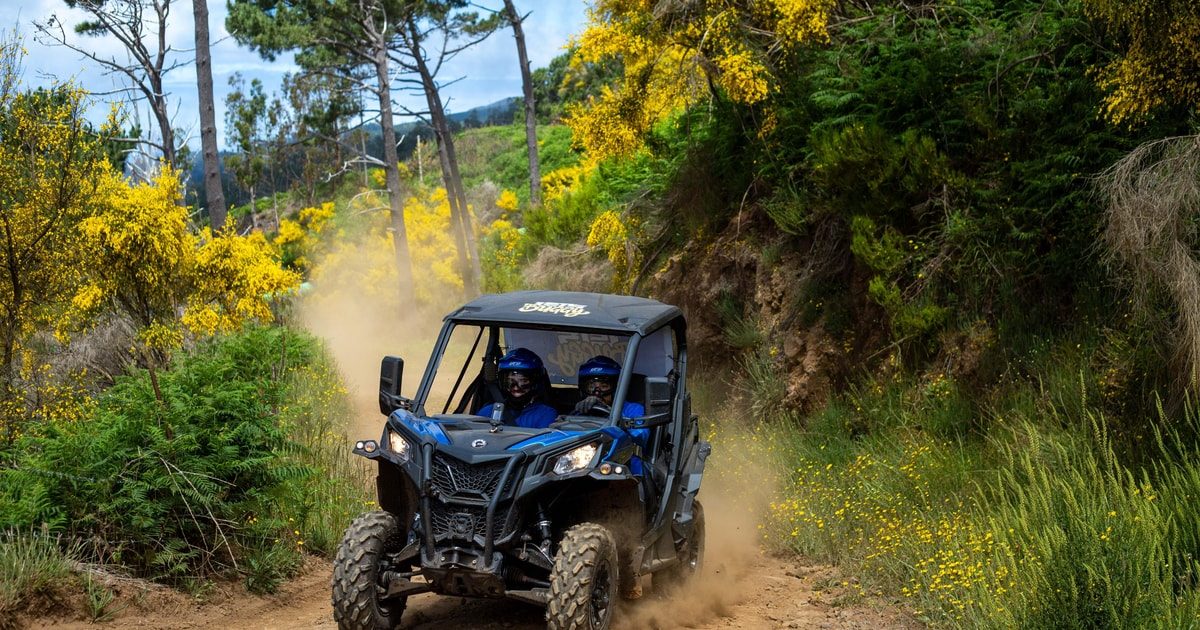 Madeira Buggy Tours