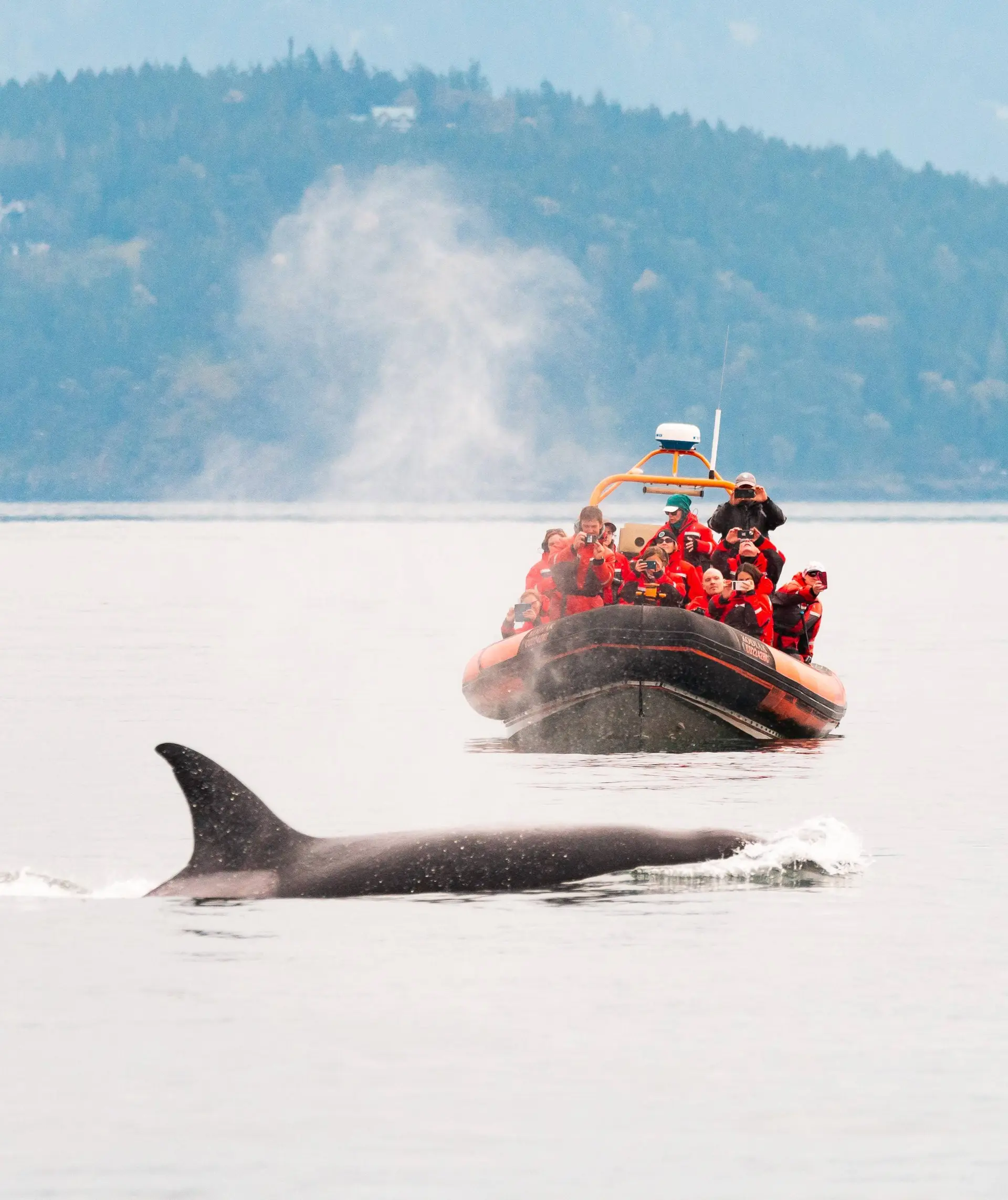 Your experience at Tadoussac Whale Watching Tours
