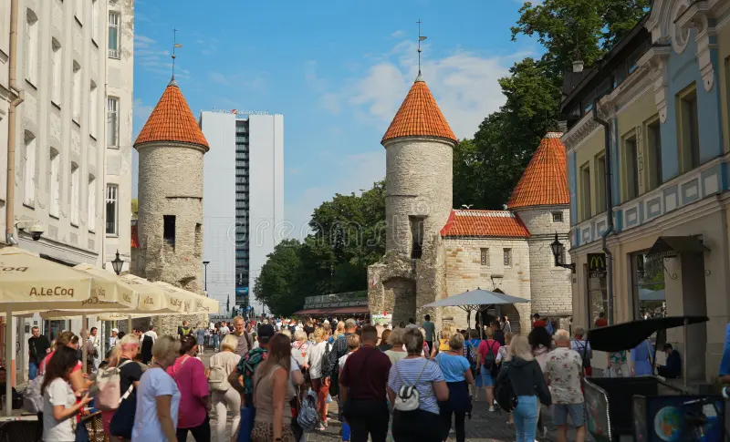 Your experience at Helsinki to Tallinn Day Trip