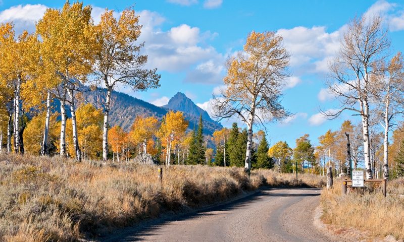 Moose-Wilson Road