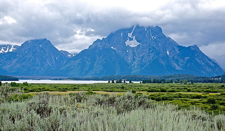Willow Flats