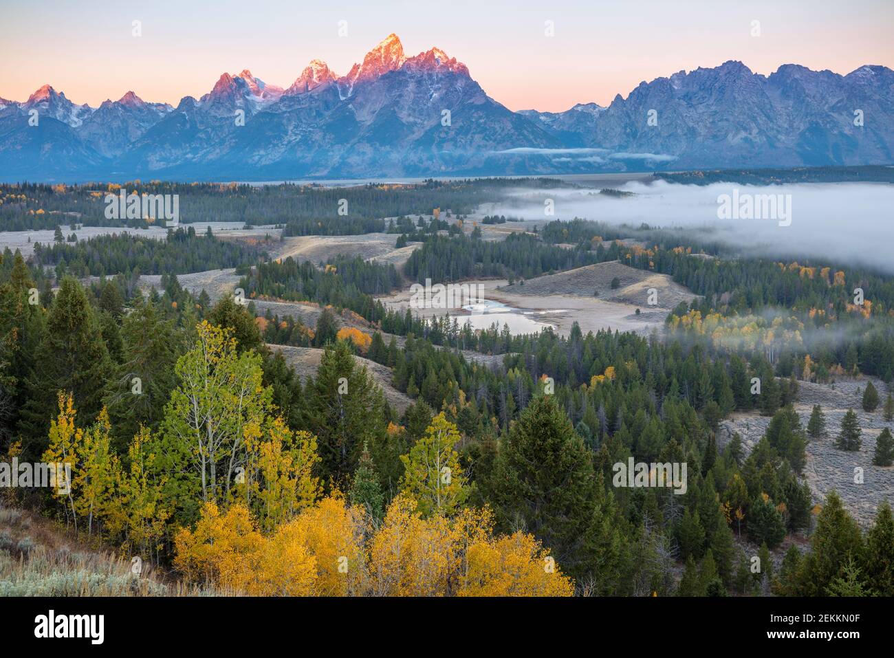 Grand Teton Wildlife Tours: What to Expect