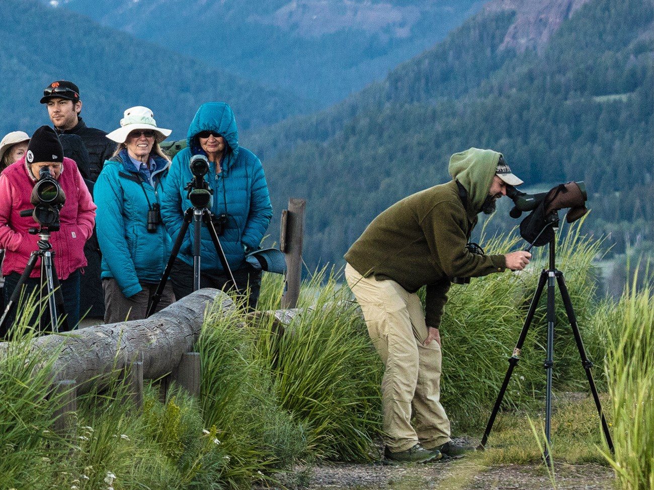 Your experience at Grand Teton Wildlife Tours