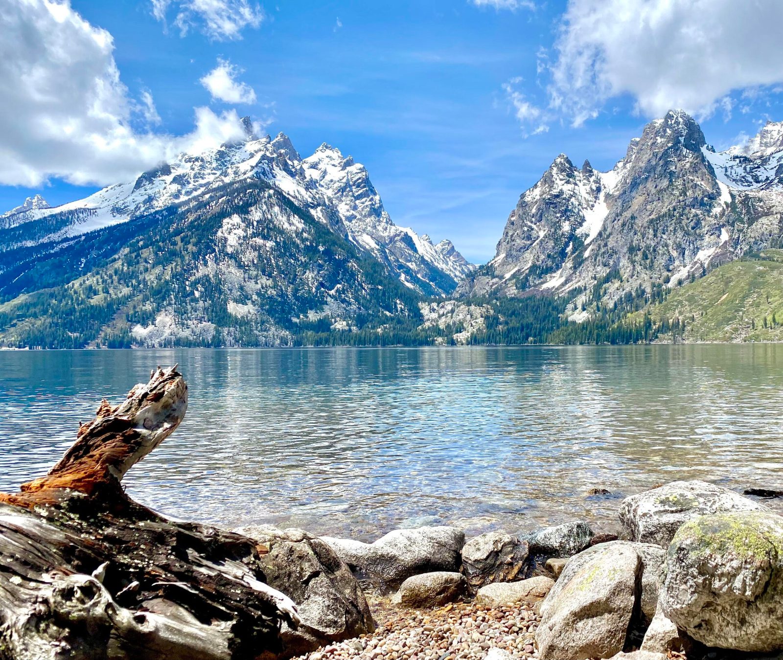 Jenny Lake