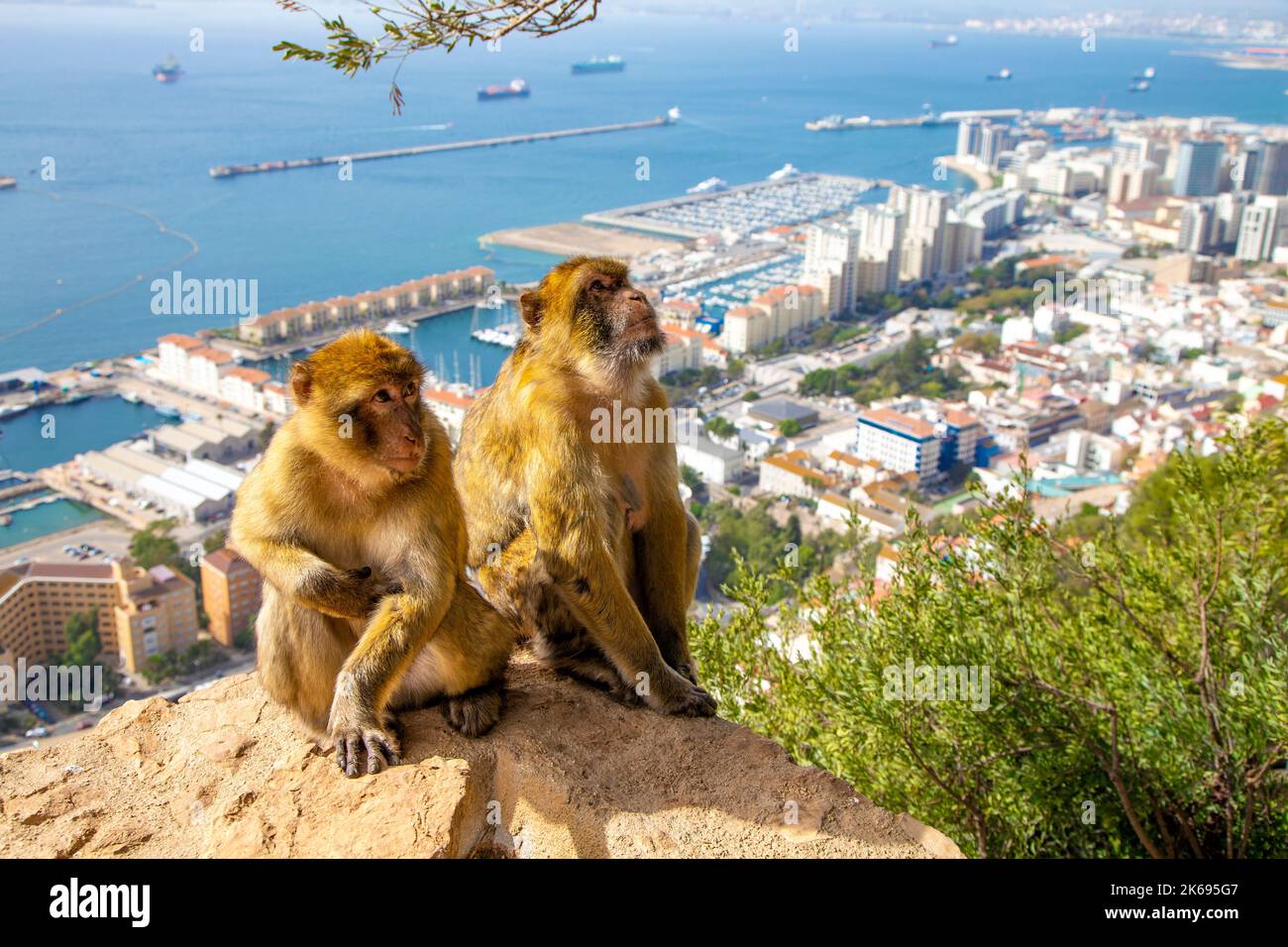 Your experience at Malaga to Gibraltar Day Trip