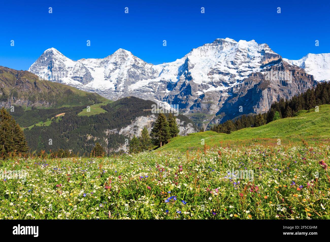 Jungfrau Region Views