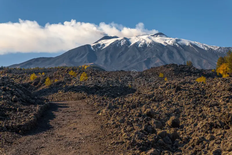 Lava Flow Trails