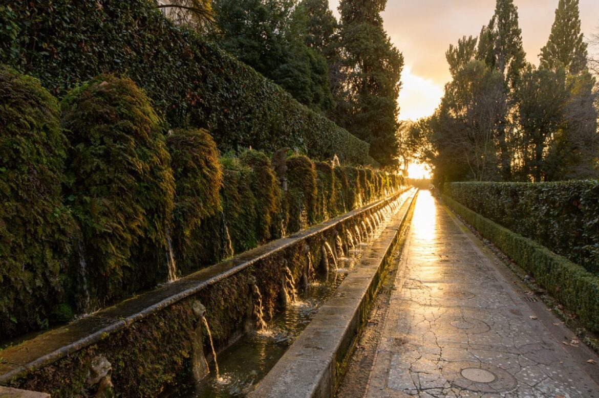 Your experience at Tivoli Day Trip From Rome