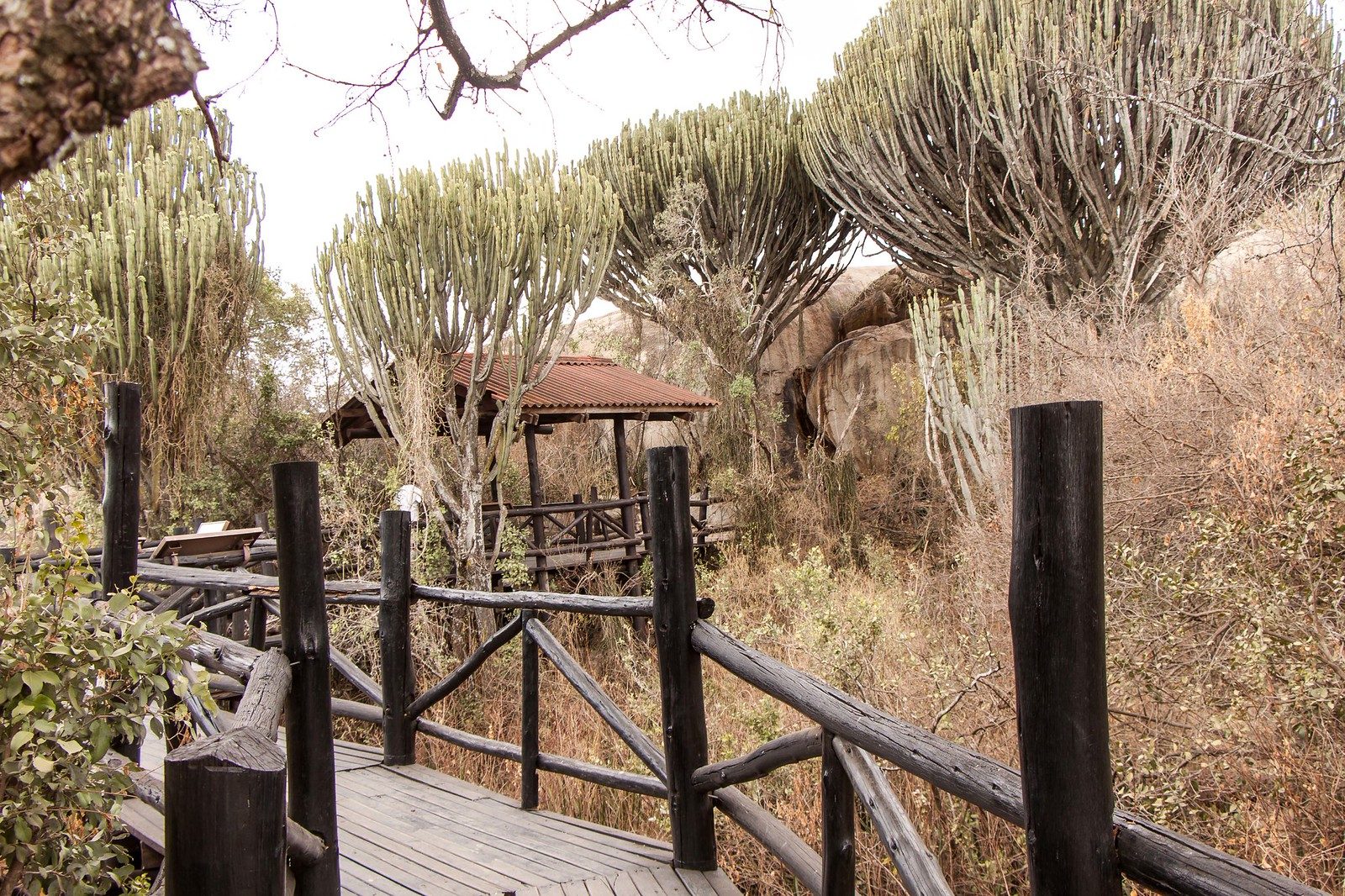 Serengeti Visitor Centre
