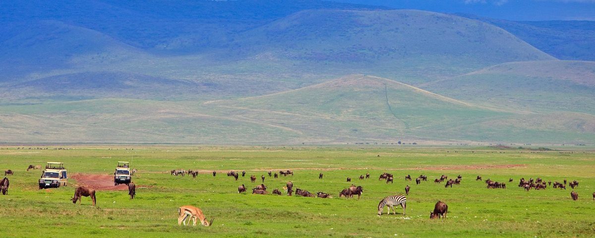 3 Day Serengeti Safari
