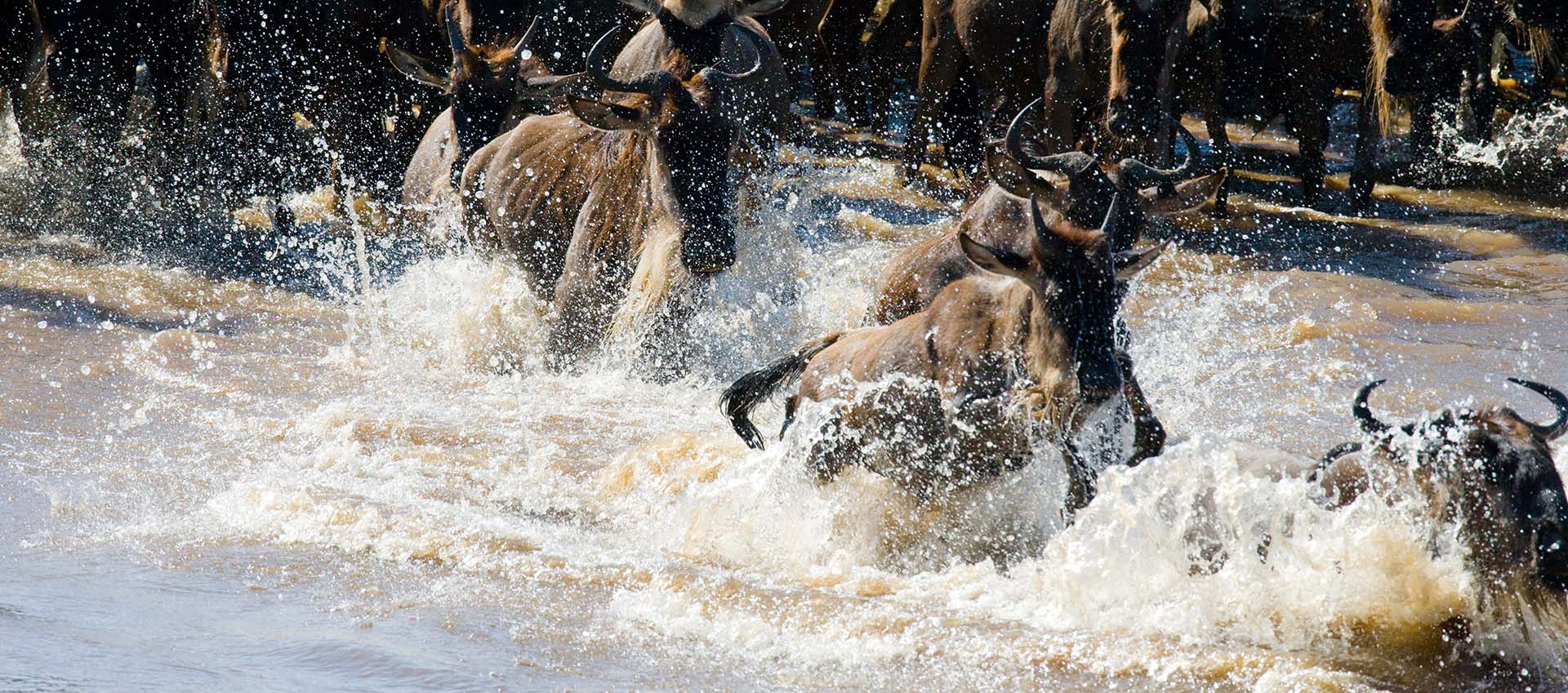 Grumeti River