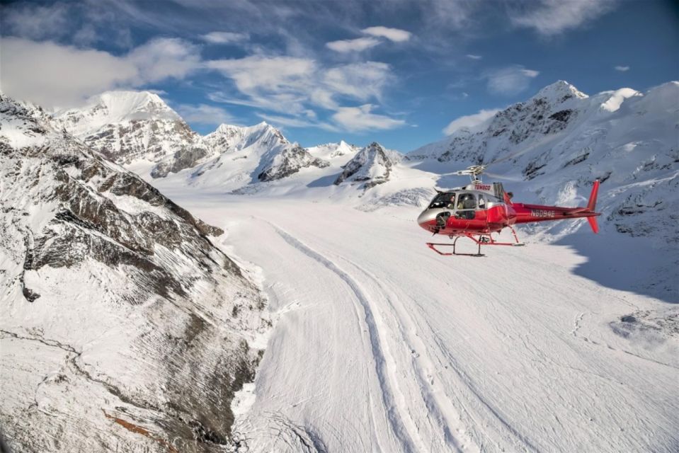 Your experience at Earnslaw Burn Helicopter Tour
