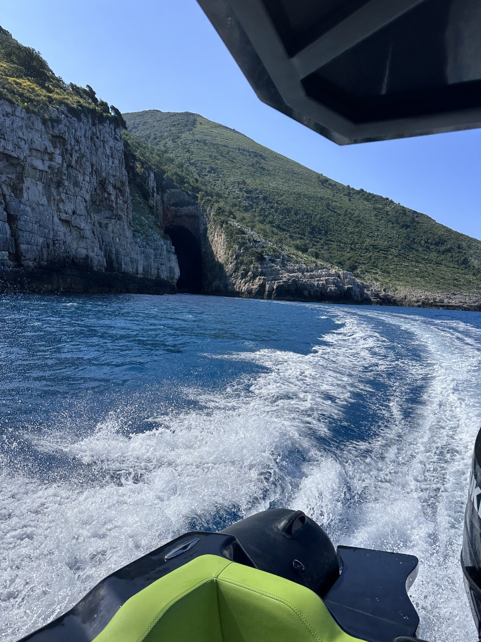 Marine Biodiversity