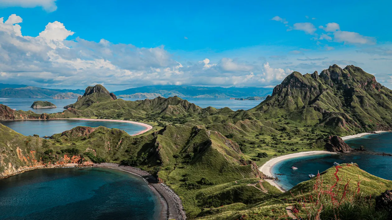 Komodo Island Day Tour: Dragons and Reefs