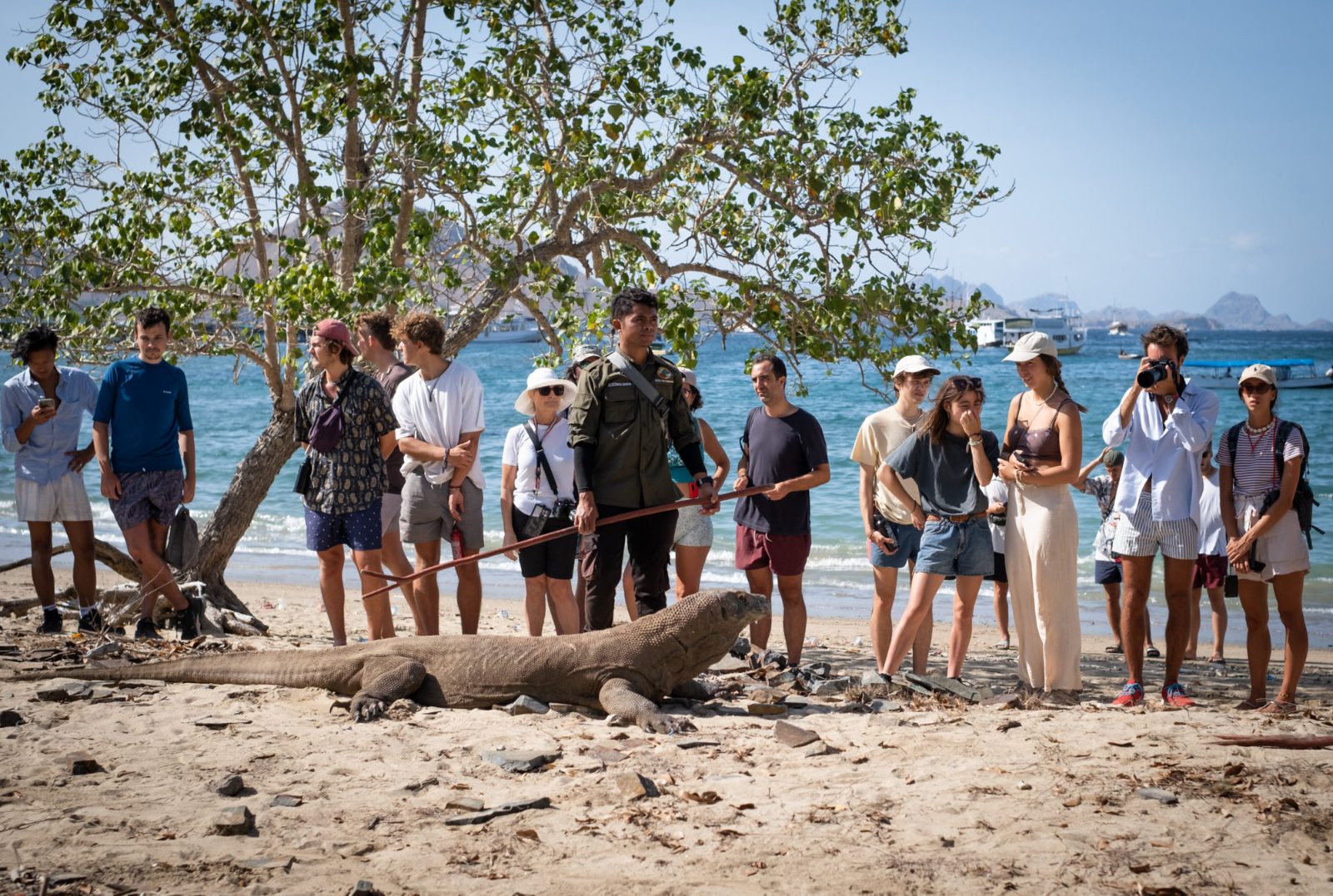 Your experience at Komodo Island Day Tour