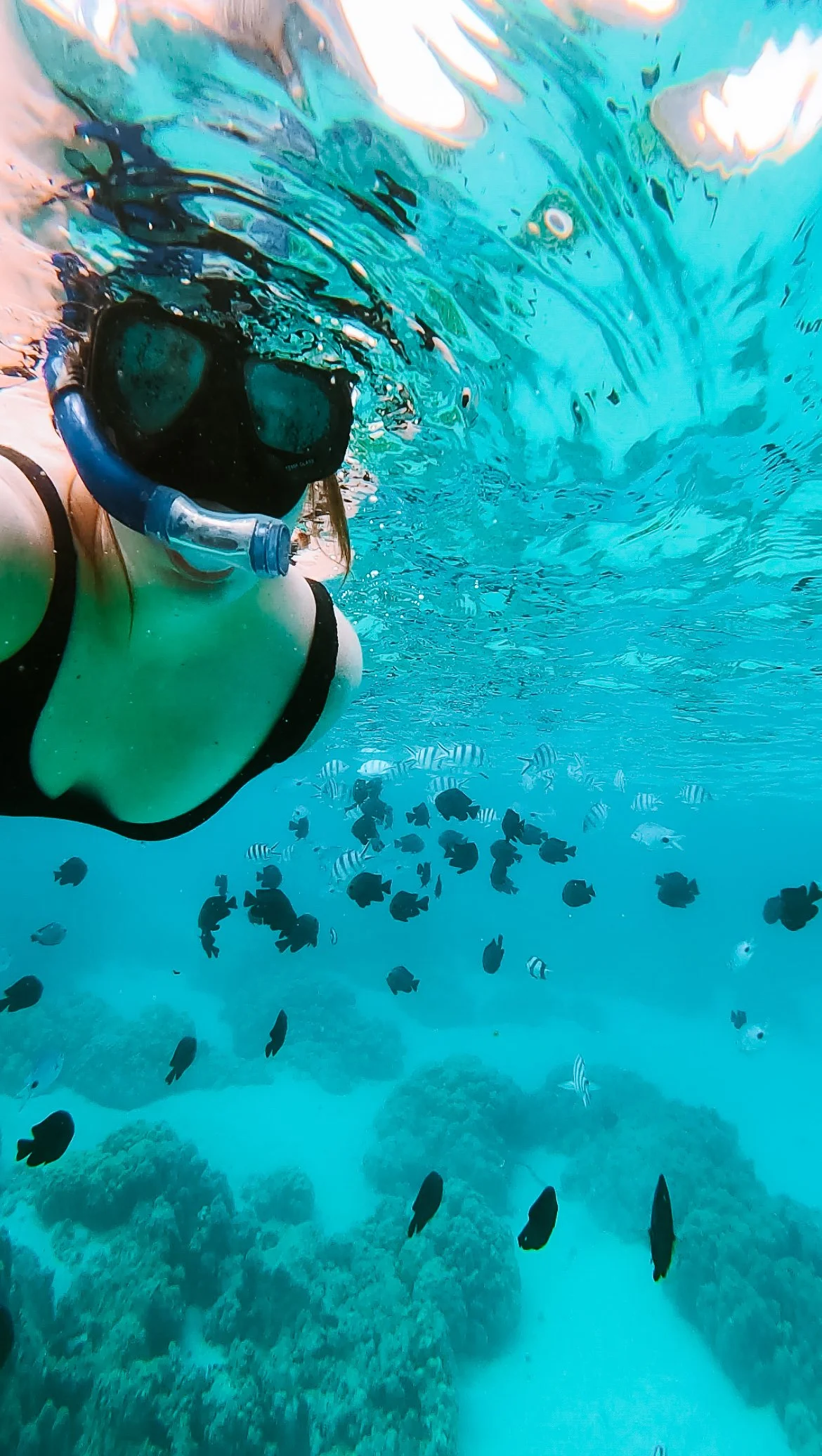 Your experience at Ile Aux Benitiers Boat Trip