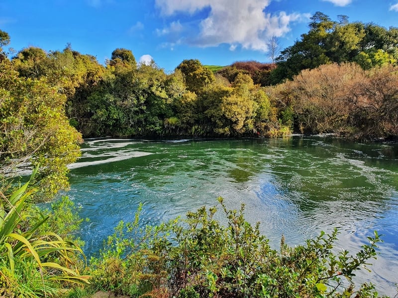 Trout Pool