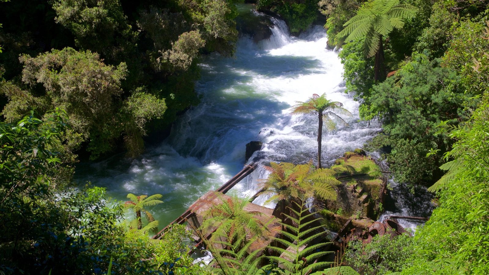 Okere Falls Holiday Parks