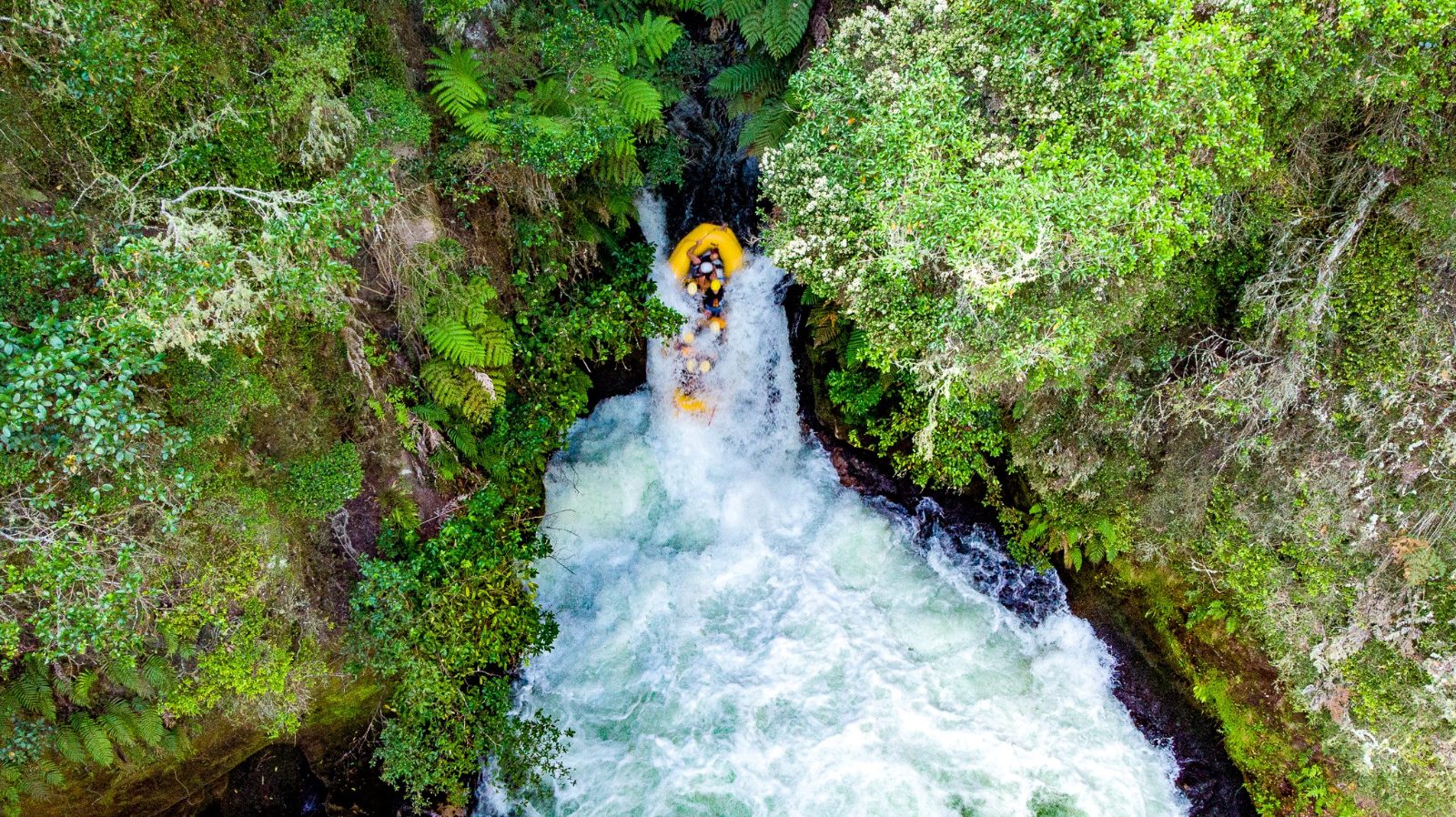 Kaituna River Rafting