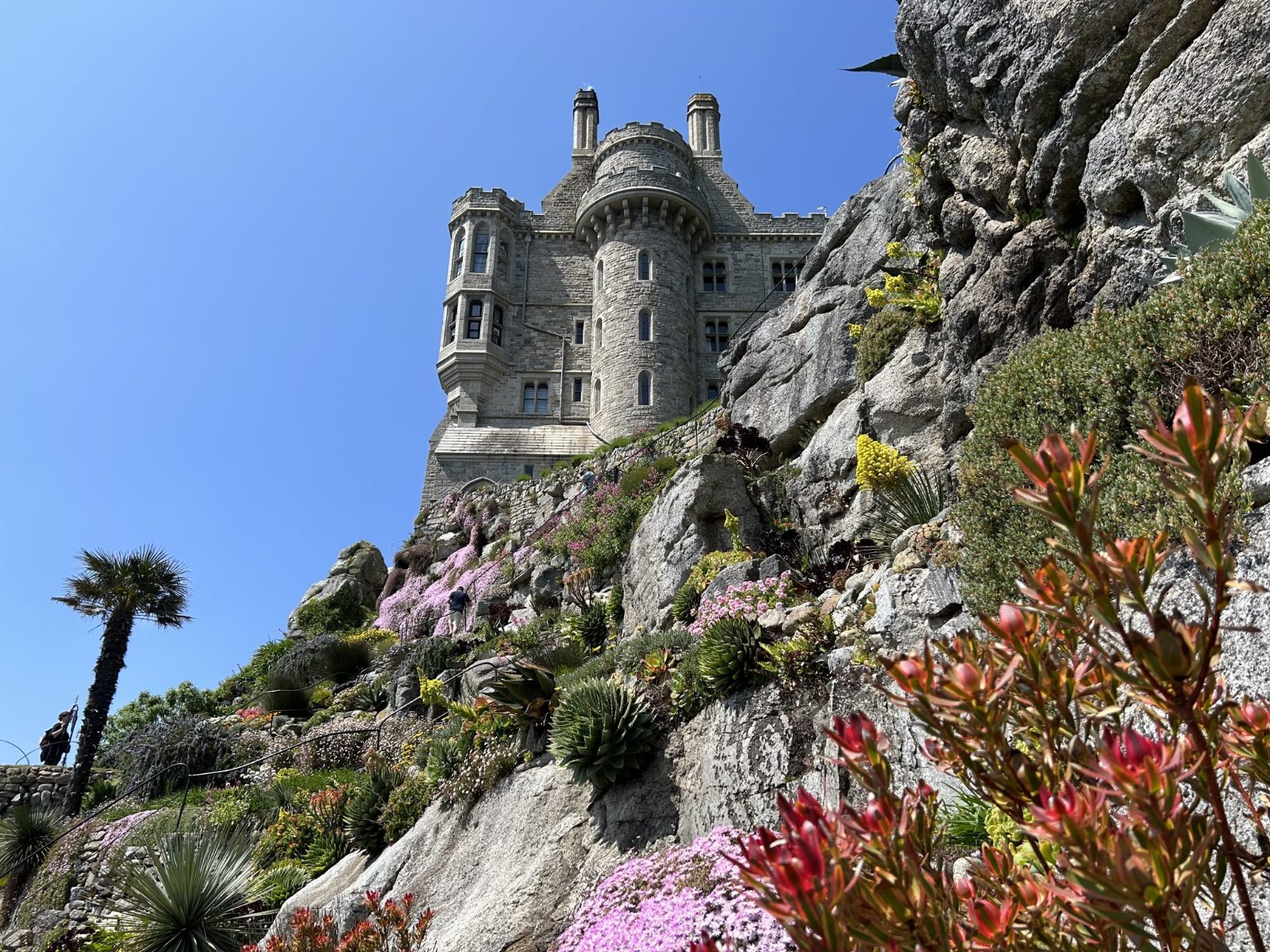The Subtropical Garden
