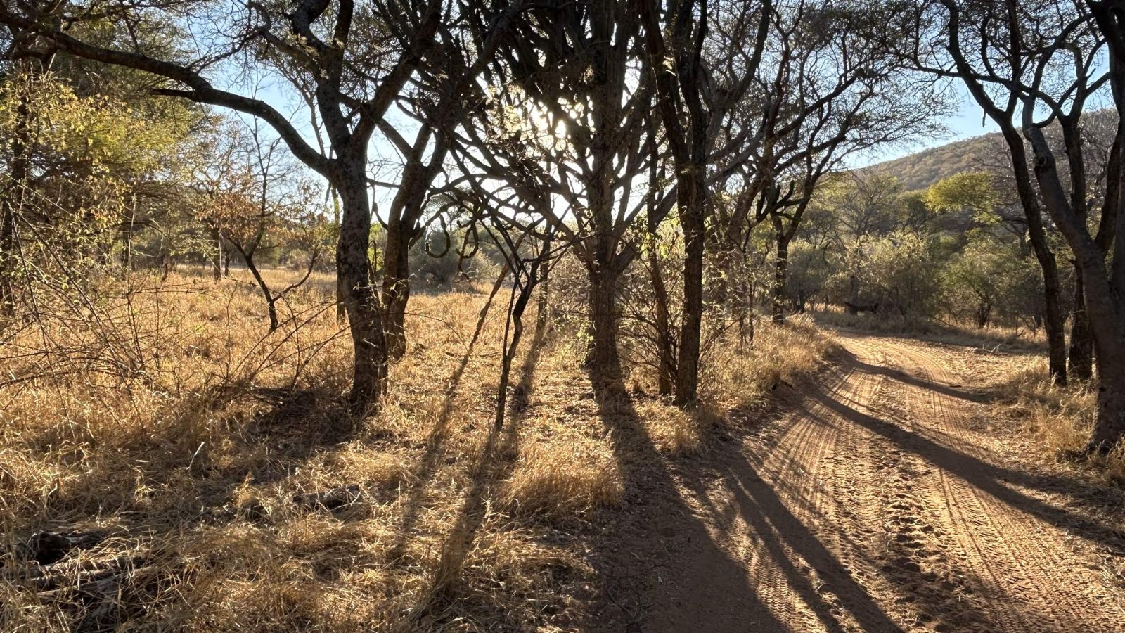 Bushveld Trail