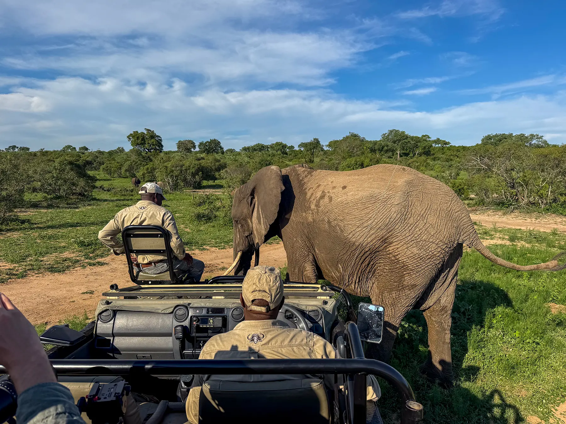 Your experience at Garden Route Safari