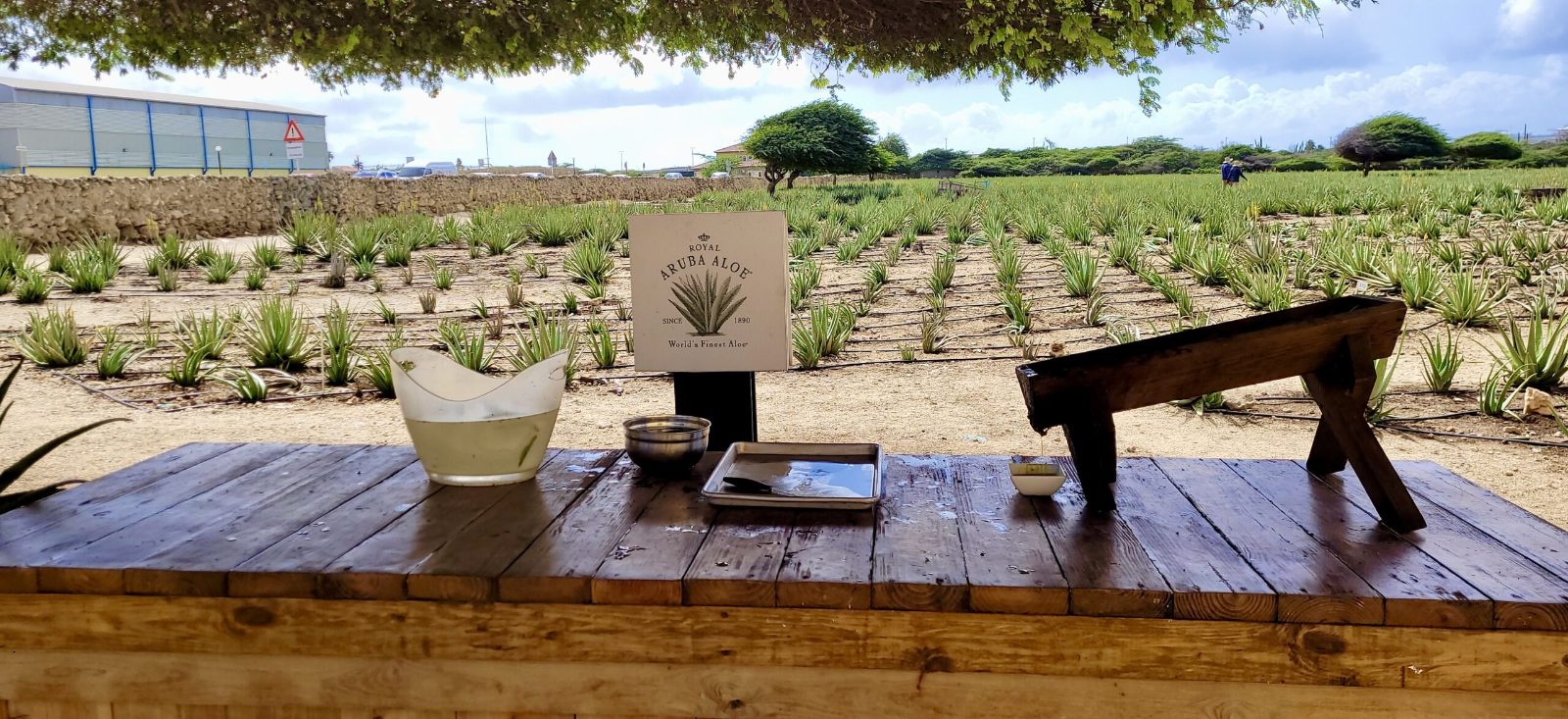 Albertinia Aloe Factory