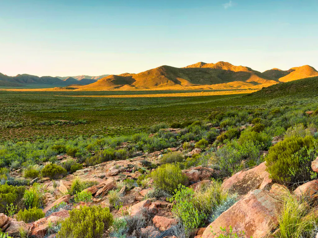 Garden Route Safari Game Drives Explained