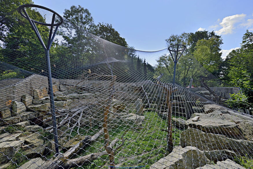 Big Five Enclosure