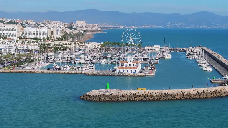 Benalmadena Dolphin Watching on the Costa del Sol