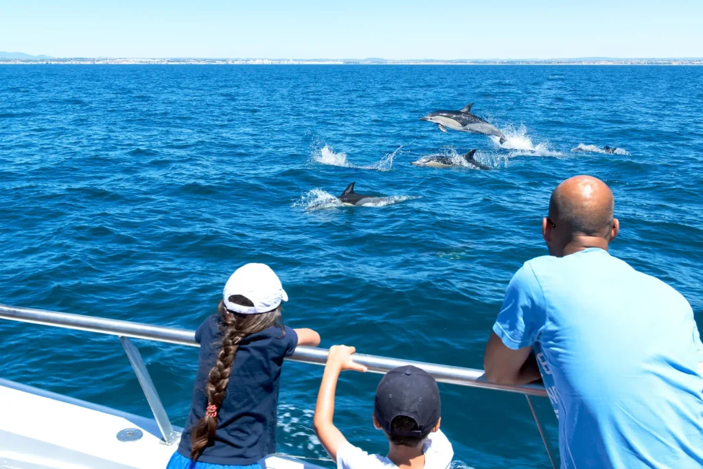 Your experience at Benalmadena Dolphin Watching