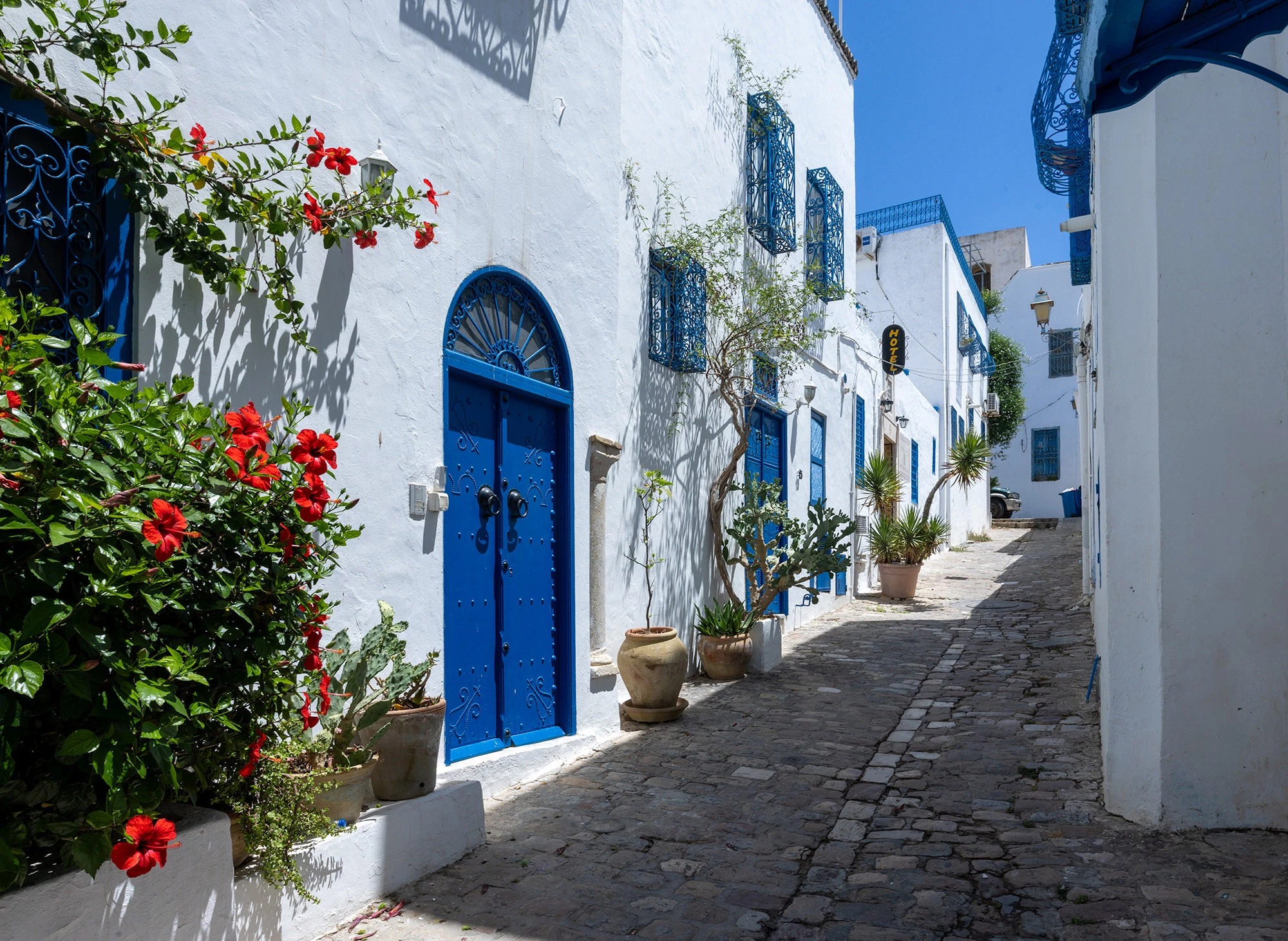 Your experience at Hammamet to Tunis Day Trip
