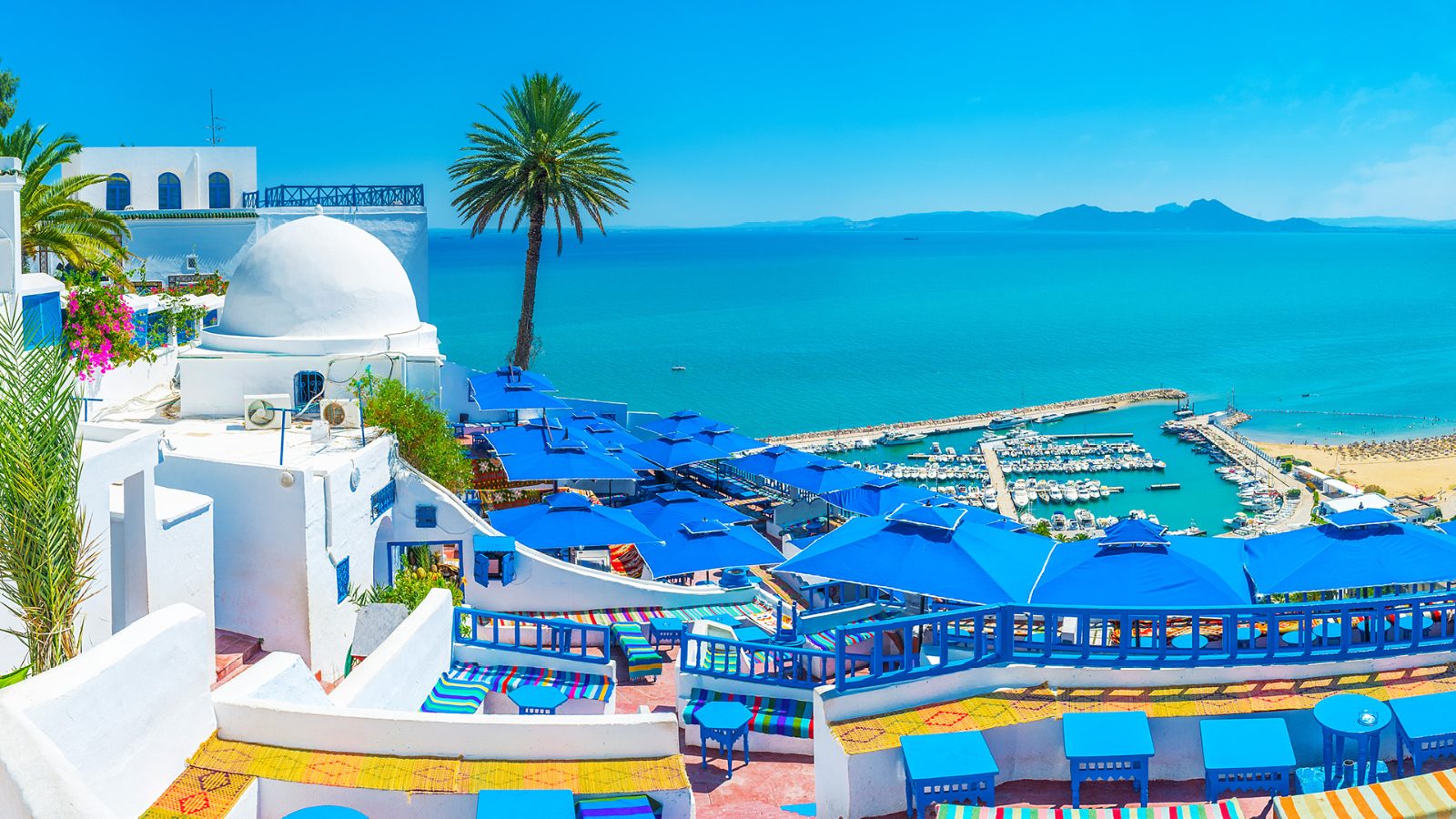 Hammamet to Tunis Day Trip