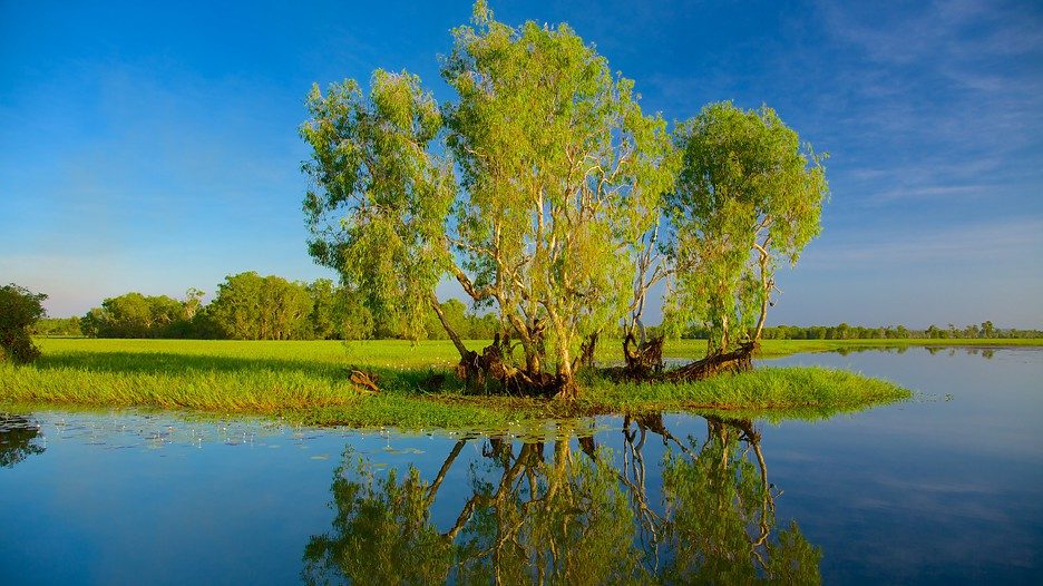 Yellow Water Billabong