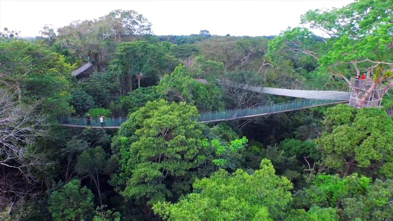 Canopy Observation Platforms