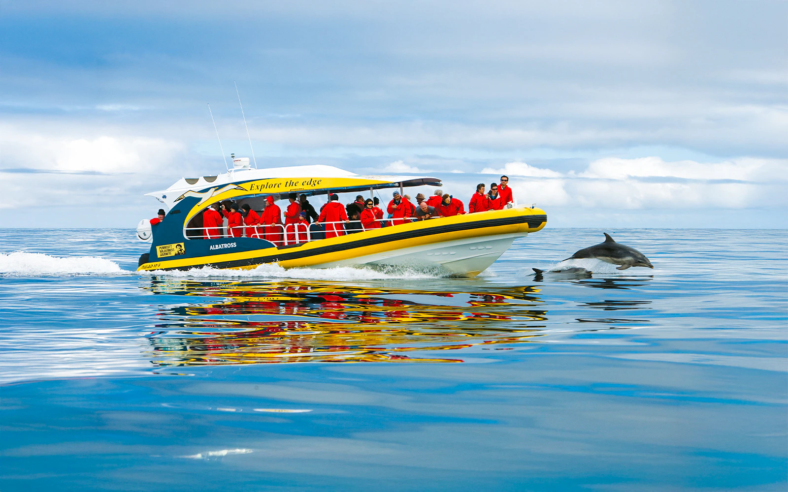 Bruny Island Wilderness Cruise