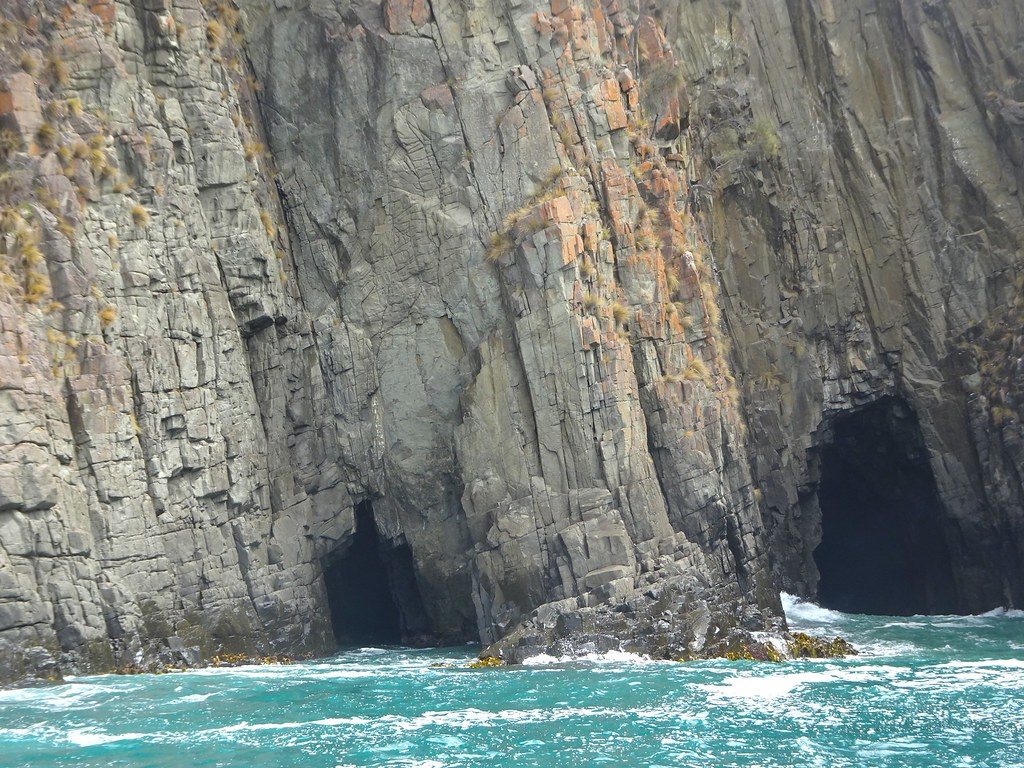 Bruny Island Wilderness Cruise: Cliffs and Wildlife