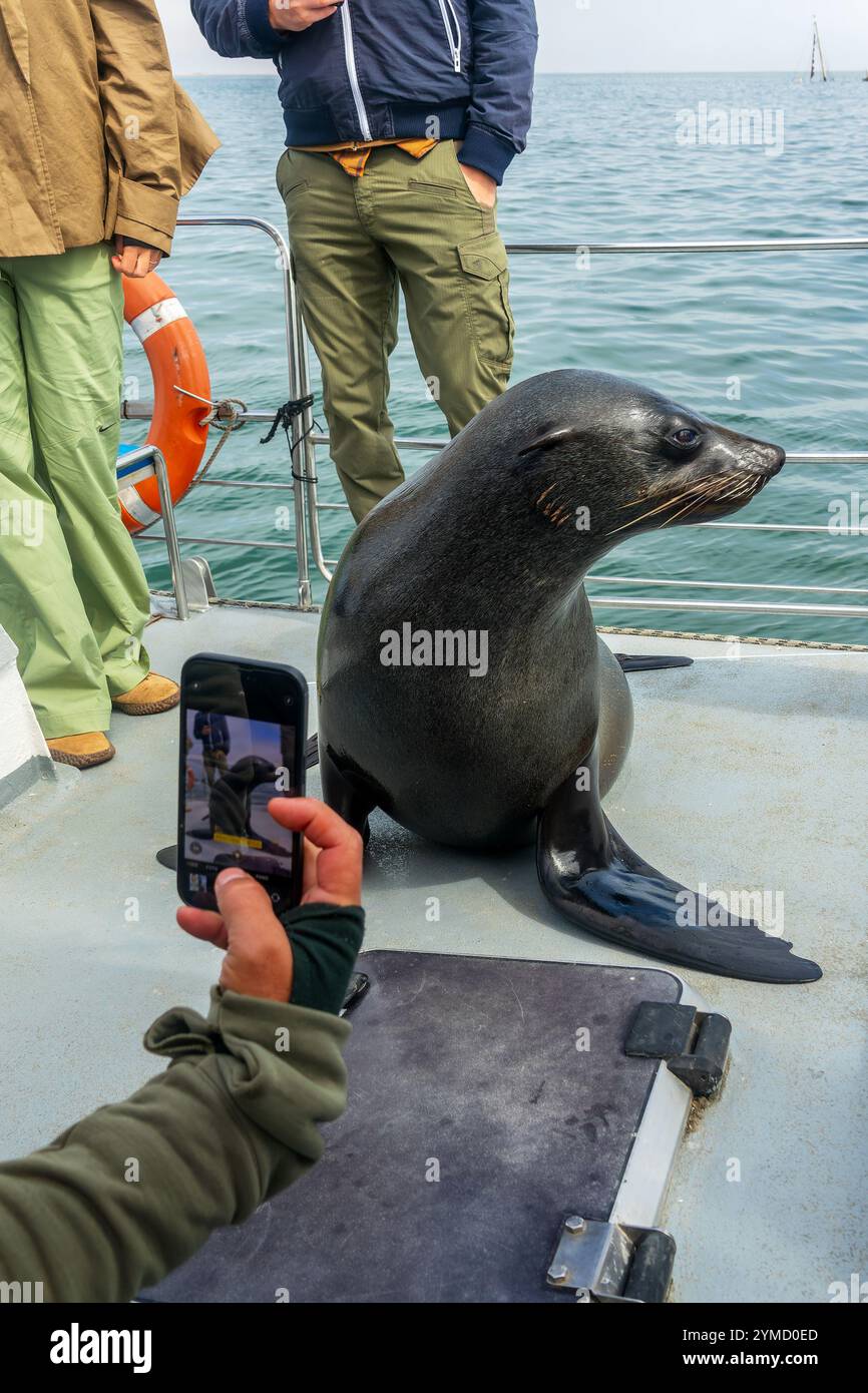 Your experience at Bruny Island Wilderness Cruise