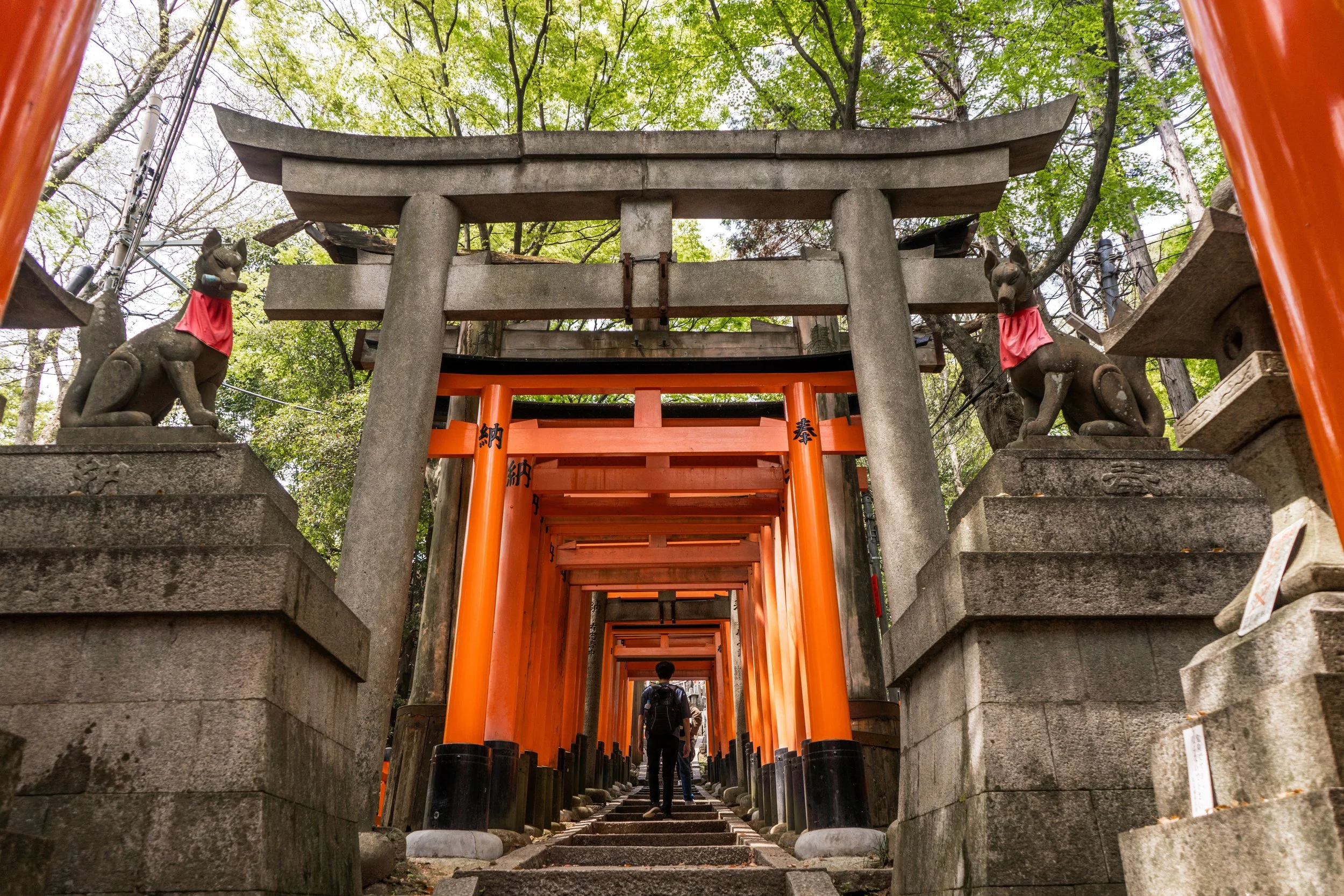 Fushimi Inari-taisha
