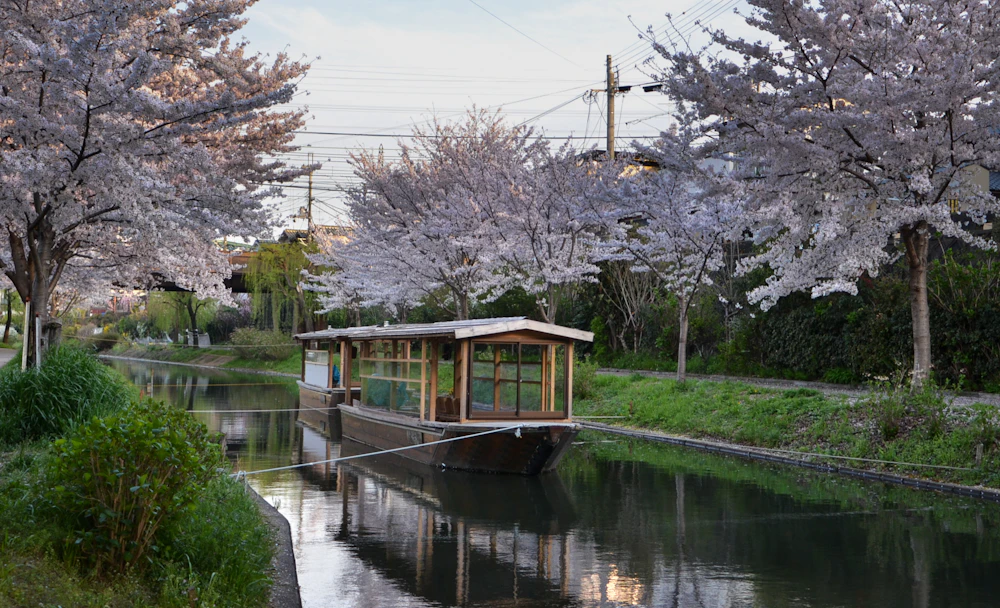 Yanagihara Canal