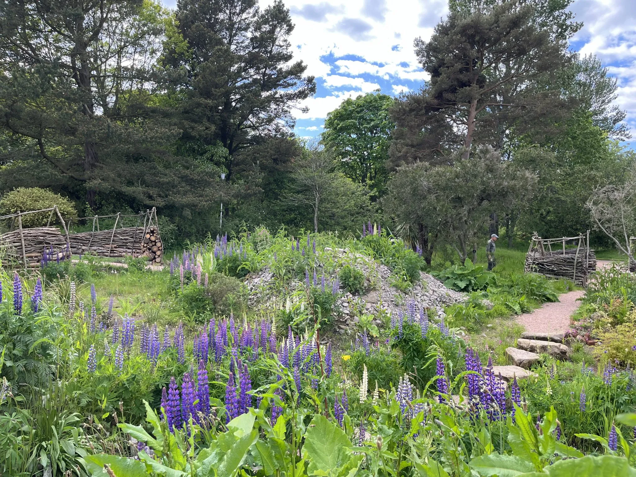St Andrews Botanic Garden