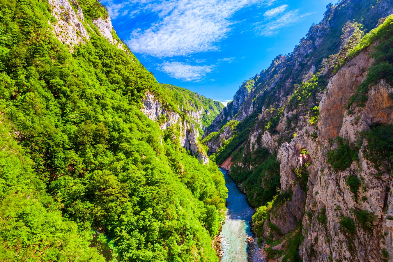 Tara River Canyon